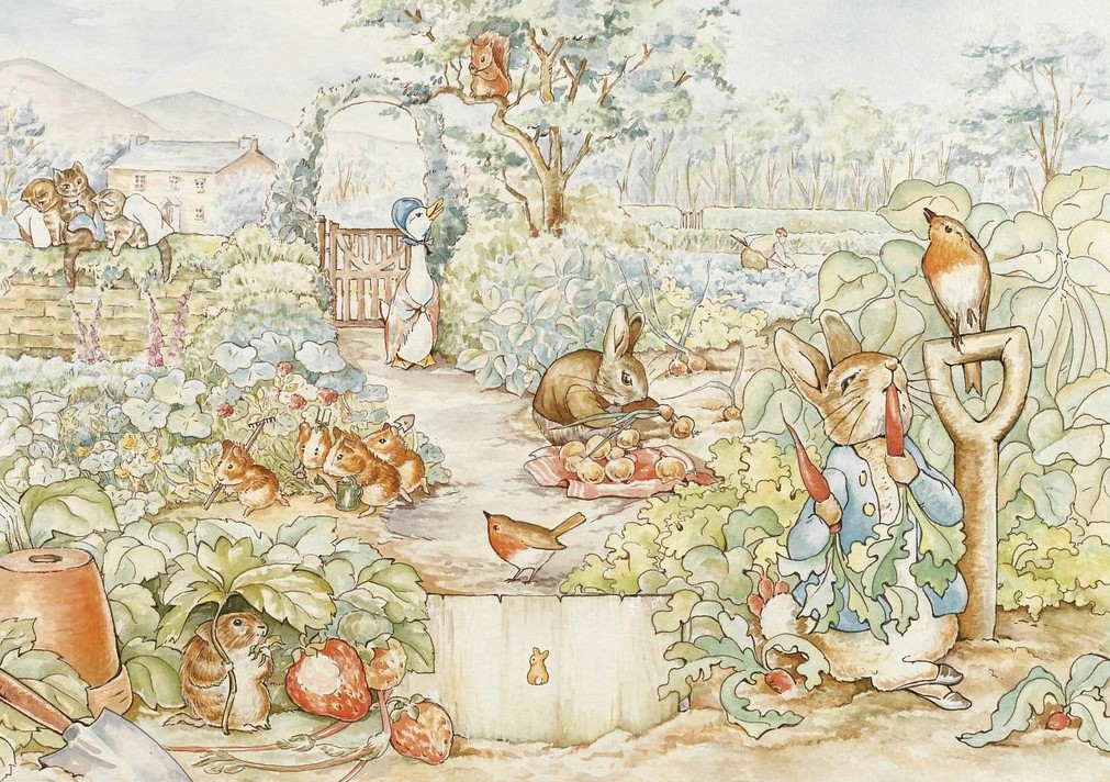 Beatrix Potter Drawn To Nature At The Frist Nashville Public Library   Beatrix1 %282%29 